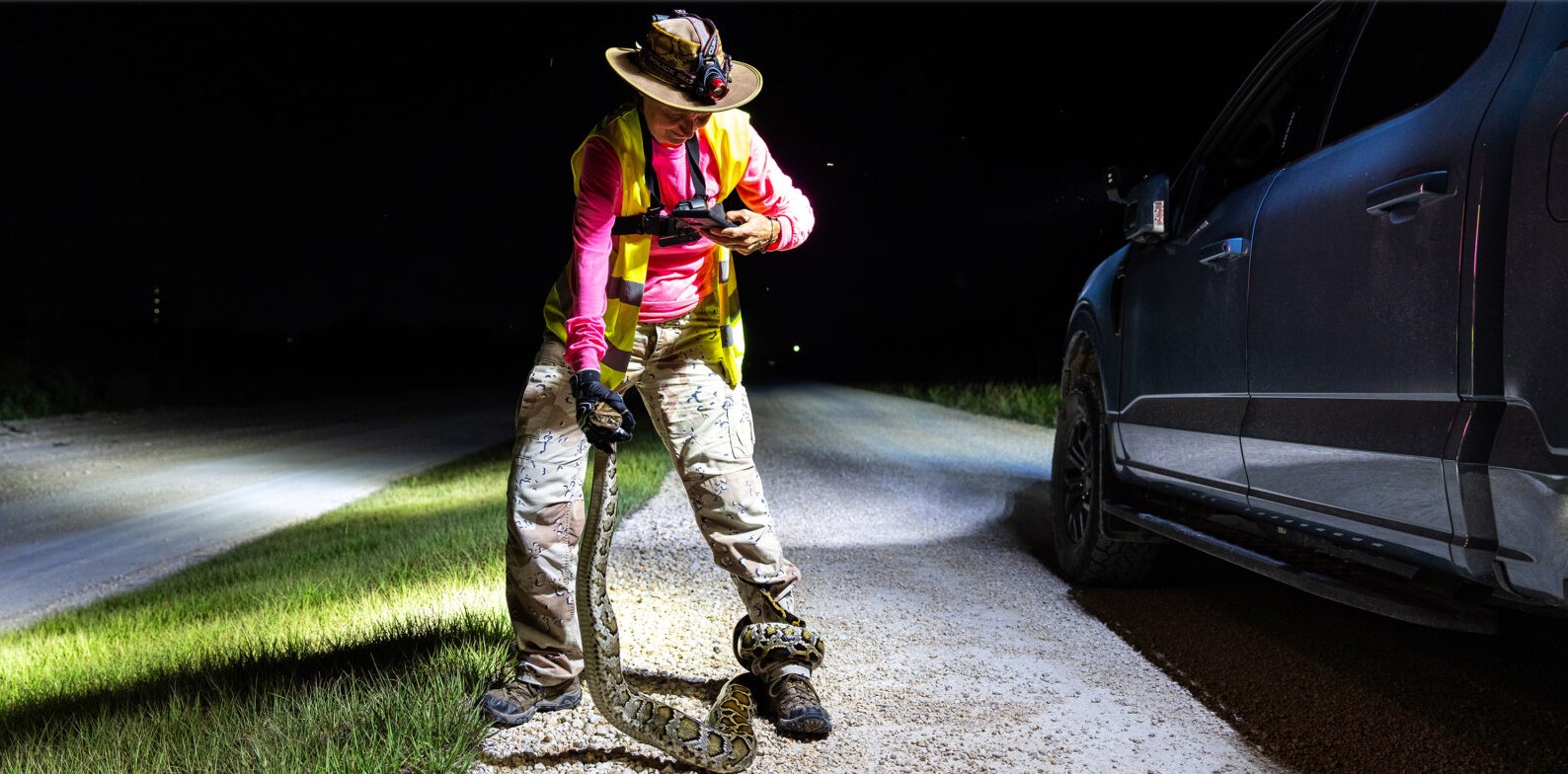 She's one of Florida's most lethal python hunters