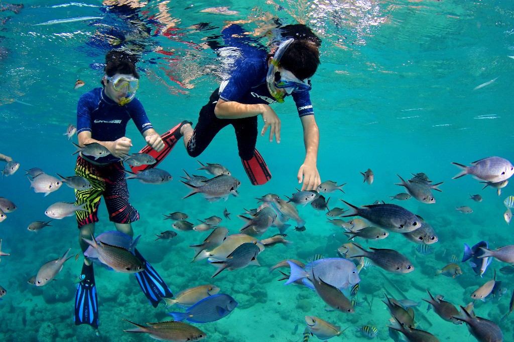 Snorkelers swim with fish at Cas Abao Beach, Curaçao. Image: Turtle & Ray Productions, Curacao