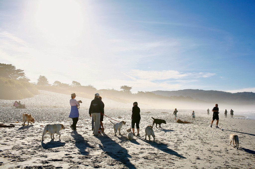 Visitors walk with their dogs along Carmel City Beach in California. Image: Melissa Golden, Redux