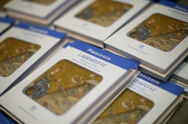 Few Echo Pope’s Environment Plea in Sunday Sermons