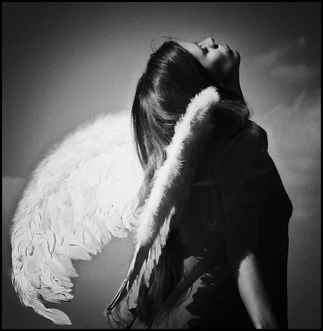 Девушка Ангел Черно Белое Фото