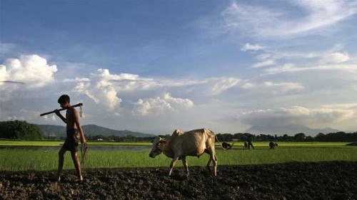 Hunting down witches in northeast India