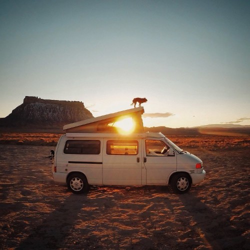 Meet the nomadic photographer who has been road-tripping with her dog around the US for the past 7 years