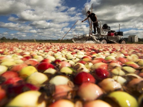 The 10 most important things in the world right now