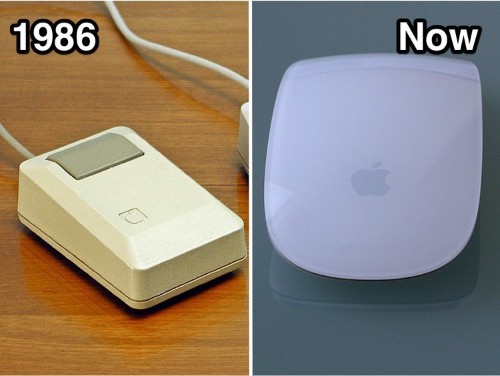 Where tech terms like 'bug,' 'robot,' and 'cloud' originally came from