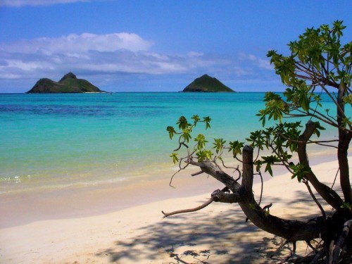 The 10 Best Beaches In America