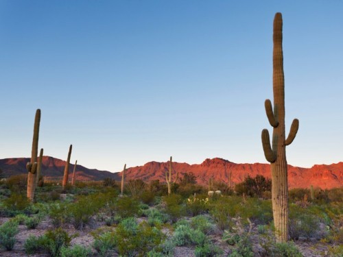 8 national parks that are perfect for spring trips