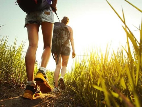 Why Walking Makes You More Creative