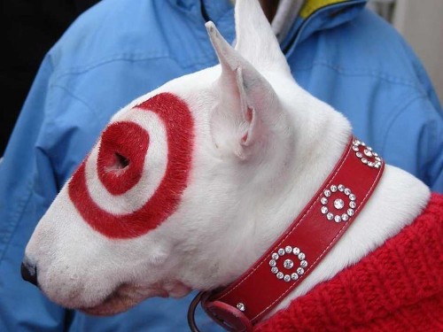 Target 'Brushed Off' Security Concerns 2 Months Before 40 Million Credit Card Numbers Were Stolen