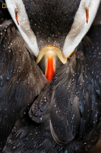 The most incredible nature photos of 2016