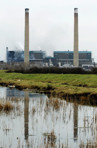 Europe's most popular source of 'renewable' energy is worse for the planet than coal