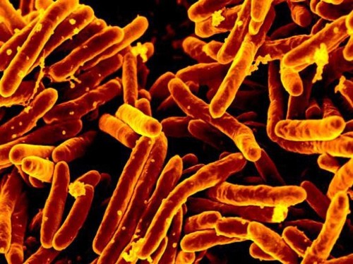 'Ingenious' Antibiotic Discovery Challenges Long-Held Scientific Beliefs