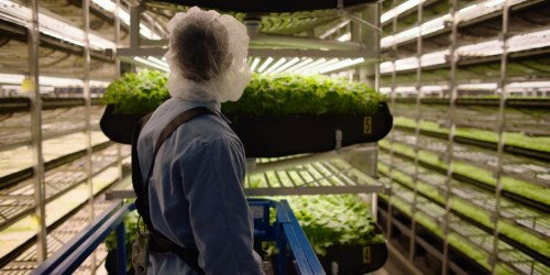 This vertical farm in Newark, New Jersey, could be the key to solving some of agriculture's biggest problems
