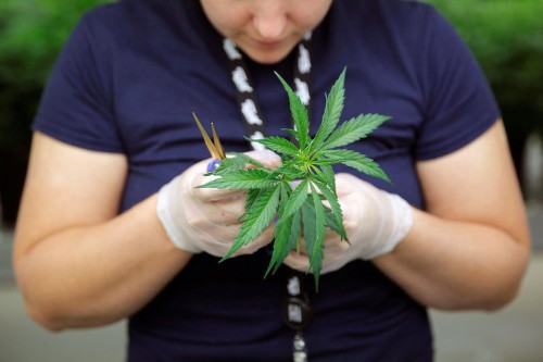 A drug derived from marijuana just got a big lift that will likely make it the first of its kind to get federal approval