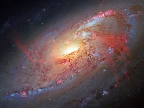 Astronomers have spotted something in space that looks like it could have been made by aliens