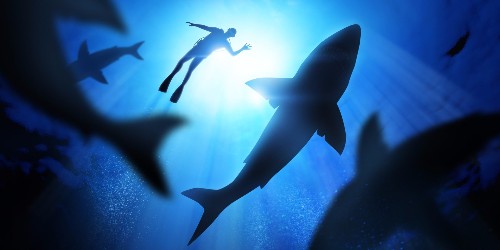 Coyote Peterson explains what most people get wrong about sharks