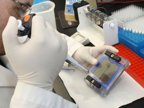 Scientists are asking the wrong questions of big data