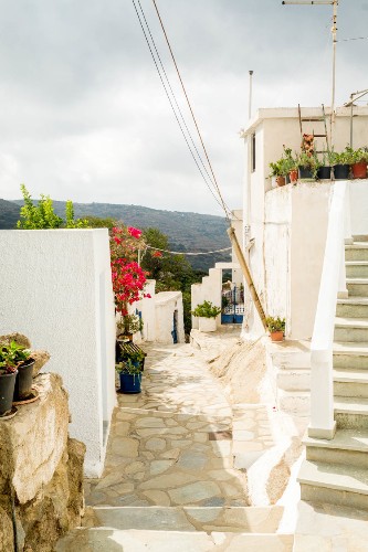 Forget Mykonos and Santorini. I found a little-known island in Greece that's twice as beautiful and half the price.