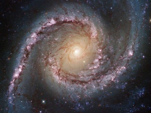 Scientists Have Detected A New Stellar Explosion That Might Be A Supernova