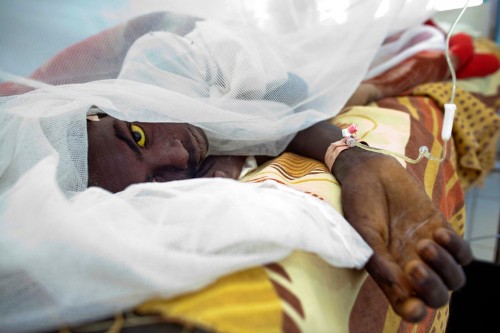 While everyone was paying attention to Zika, a much deadlier mosquito-borne virus began to spread