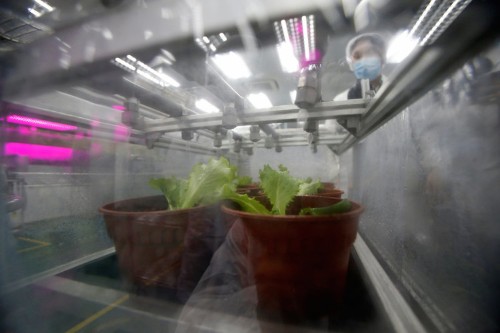 Panasonic's first indoor farm can grow over 80 tons of greens per year — take a look inside