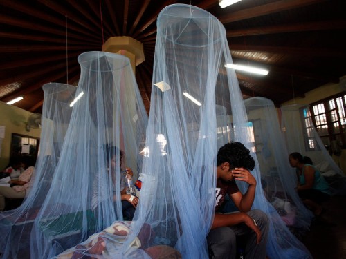 Scientists are on the brink of introducing vaccines that might help control deadly mosquito-borne diseases