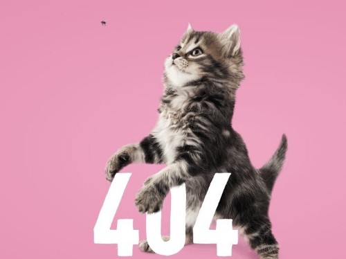 The Most Creative 404 Error Pages On The Web