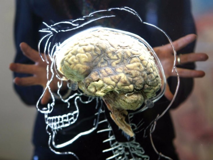 Brain hacking - cover