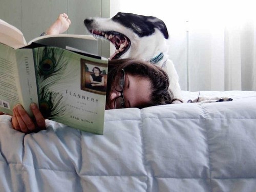 100 books everyone should read Amazon Goodreads