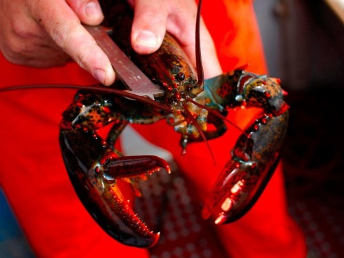 There's a border dispute heating up between the US and Canada over lobster