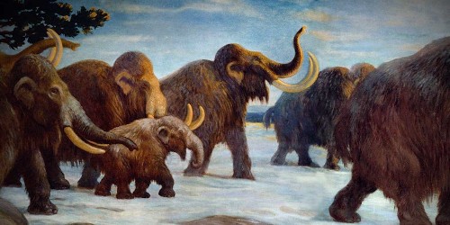 Scientists have almost discovered how to resurrect a woolly mammoth