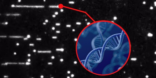 First ever close-up footage of DNA replication will have experts rewriting science textbooks