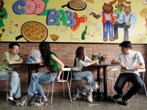 27 bizarre restaurants to eat at in your lifetime