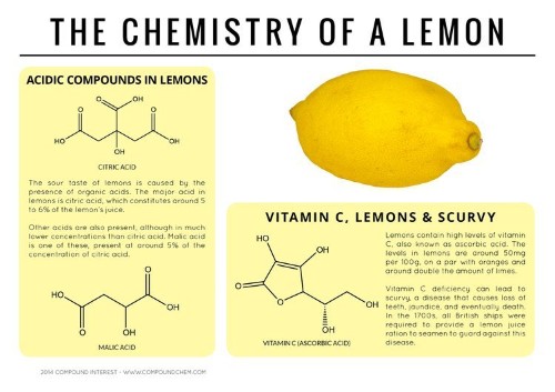 These Beautiful Graphics Reveal The Chemistry Of Everyday Foods