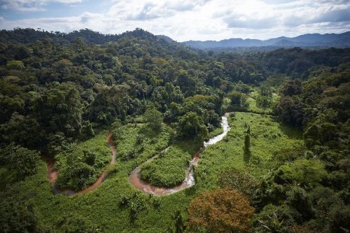 People hadn't set foot in this ancient 'lost city' in the Honduran jungle for 500 years. Now the government is fighting to save it.