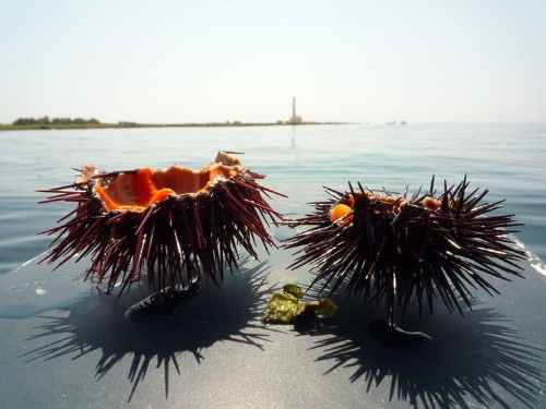 25 Ultra Local Experiences In Italy