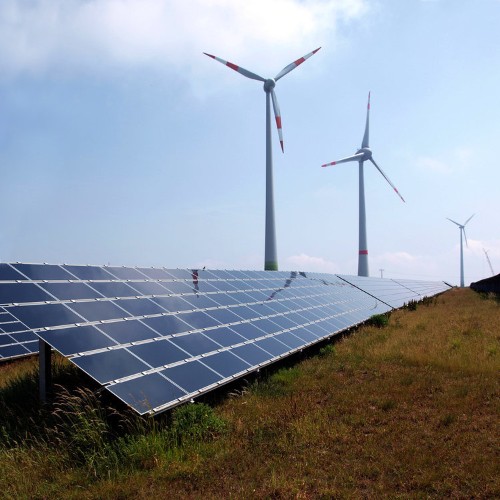 Harvard scientists created a 'bionic leaf' that's better at converting the sun's energy than real plants