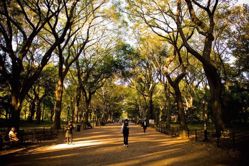 Scientists discovered the easiest way to boost your mood
