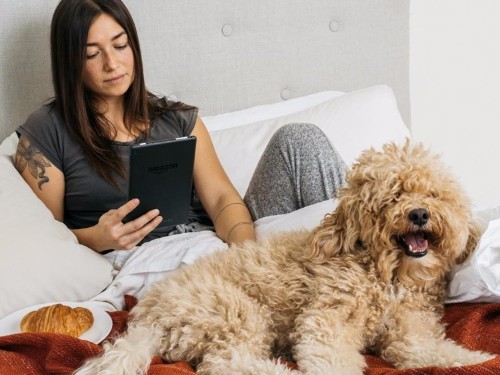 These are Amazon’s picks for best books this May