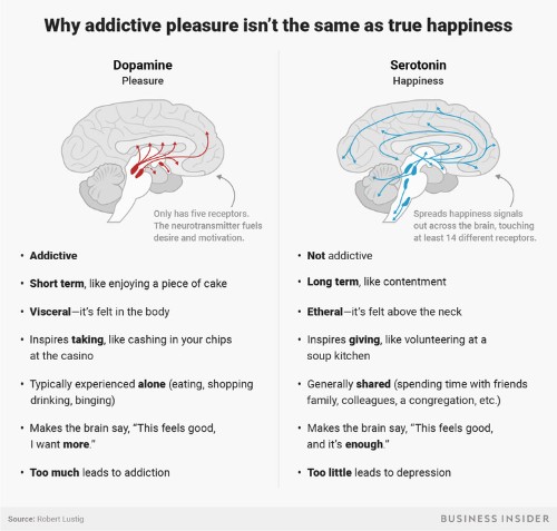 This is why our phones are making us miserable: happiness isn't the same thing as pleasure, and our brain knows it