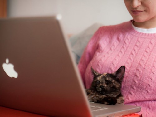 13 best-selling online classes you can enroll in for $10 right now