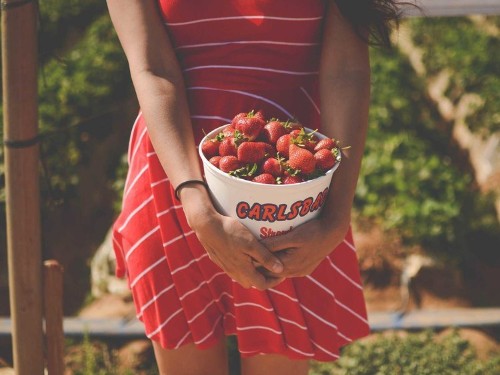 55 awesome things to do in the US this summer