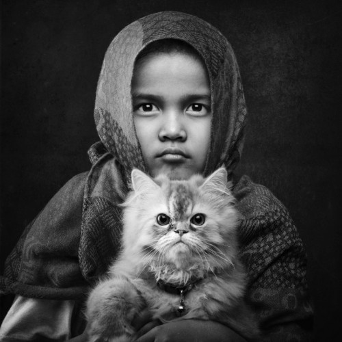 15 Awesome Photos From Sony's 2015 World Photography Awards