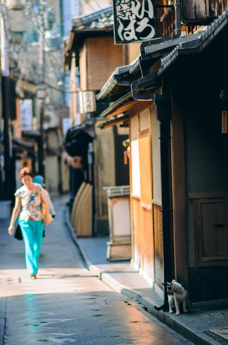 This Ancient Japanese City Can Only Be Appreciated Through Cat Pictures