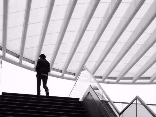 A minimalist explains how a psychological trick called 'the beginner's mind' could make your life easier