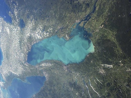 3 ways AI could help save the planet