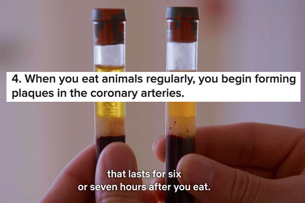 This Netflix Documentary Called "The Game Changers" Is Making People Go Vegan, So I Watched And Here's What I Learned