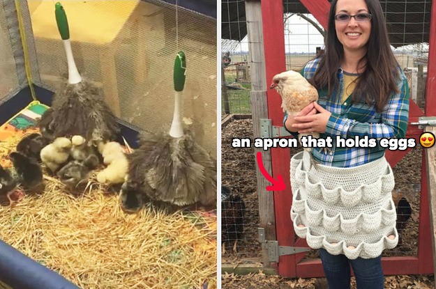 41 Clever Hacks And DIYs That Will Help You Better Care For Your Chickens