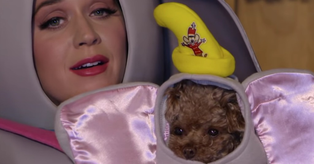 Katy Perry Wore Matching "Dumbo" Costumes With Her Dog Nugget To Sing "Baby Mine" And I Can't Deal