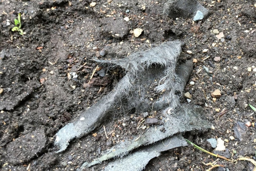 Landscape fabric can do more harm than good under mulch in your garden. Here’s a better, cheaper alternative to try.